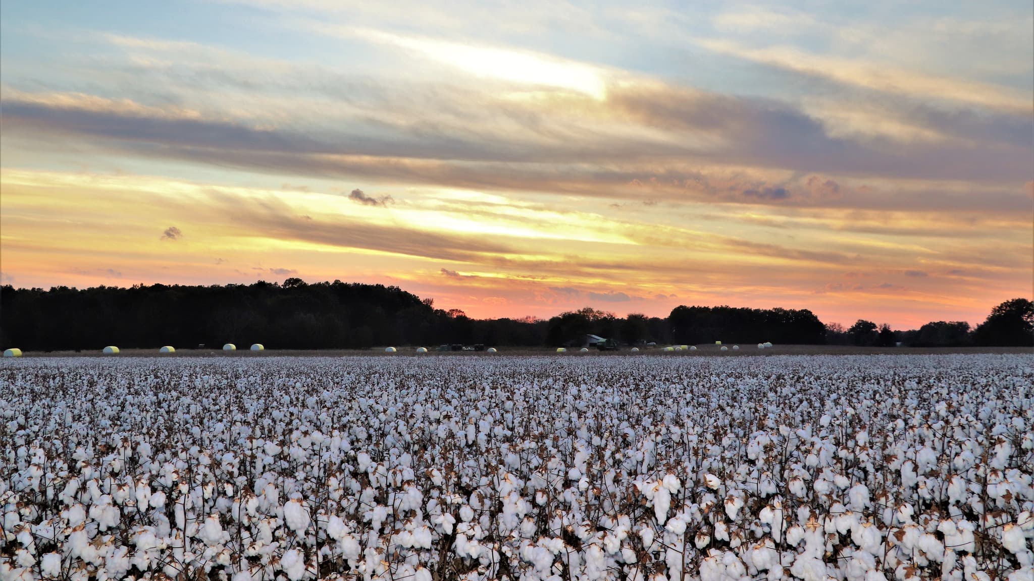 Drone Crop Application in Morgan County, AL