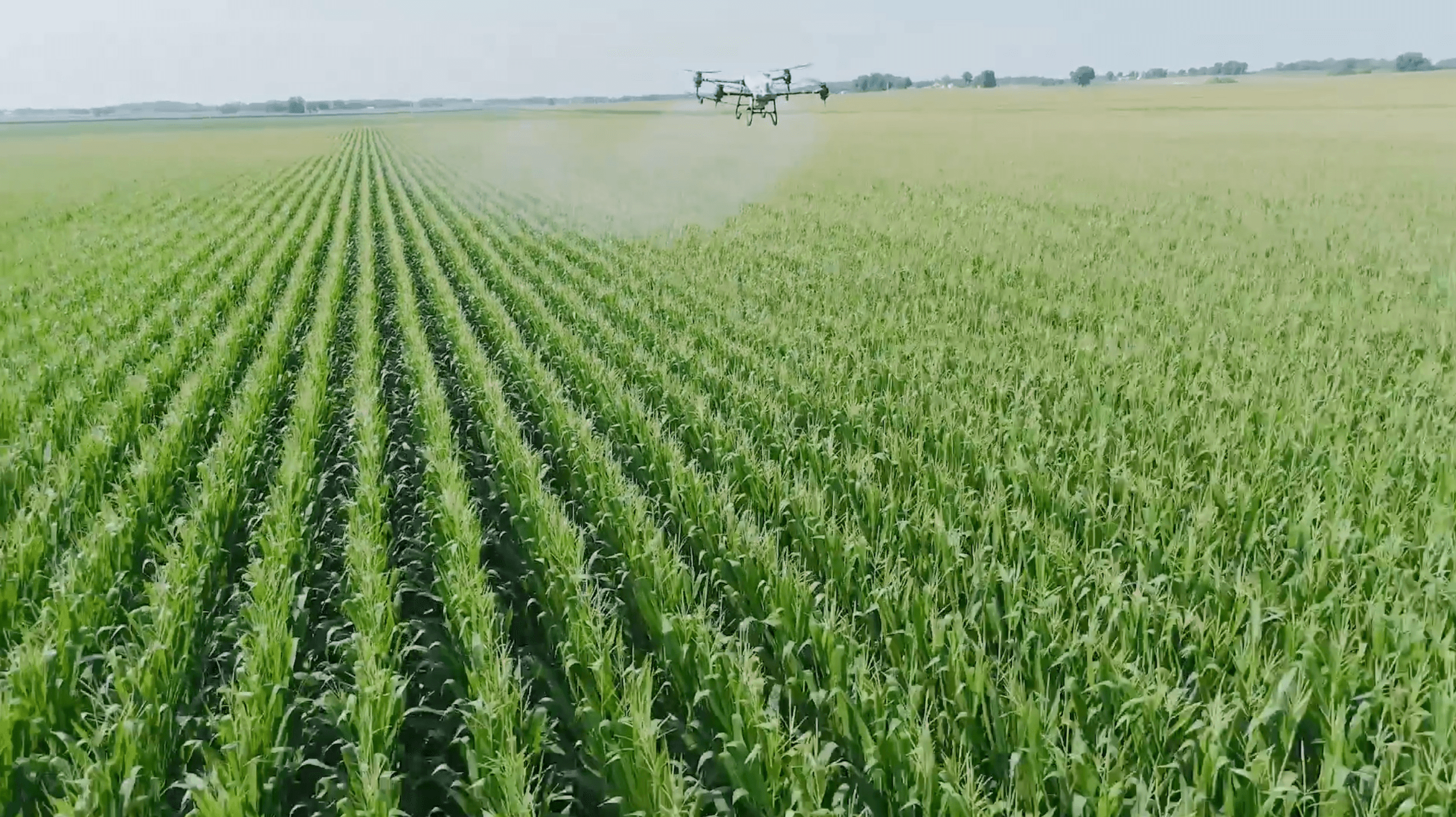 North Alabama Drone Applicators news