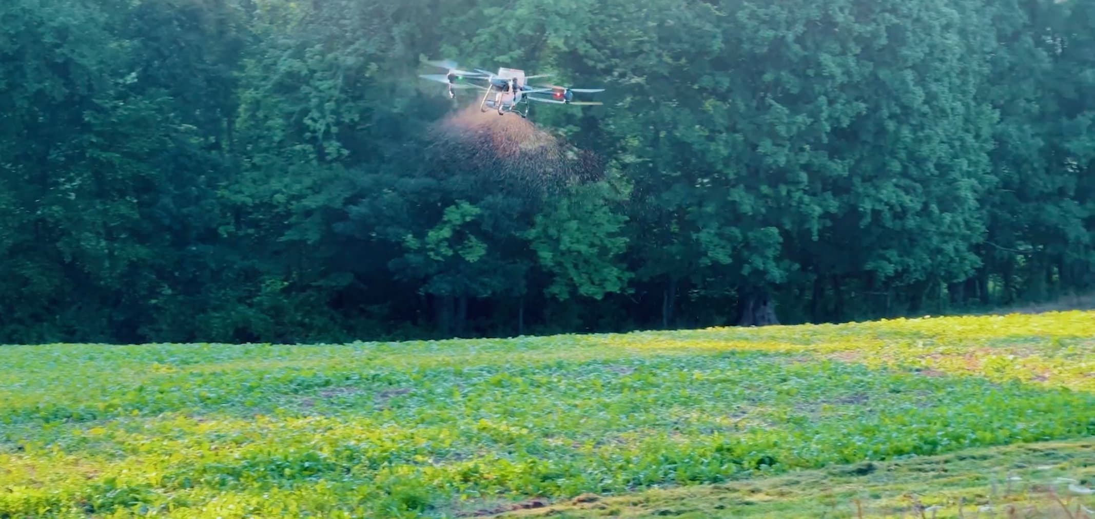 When Drone Spreading Fits Cover Crop Seeding