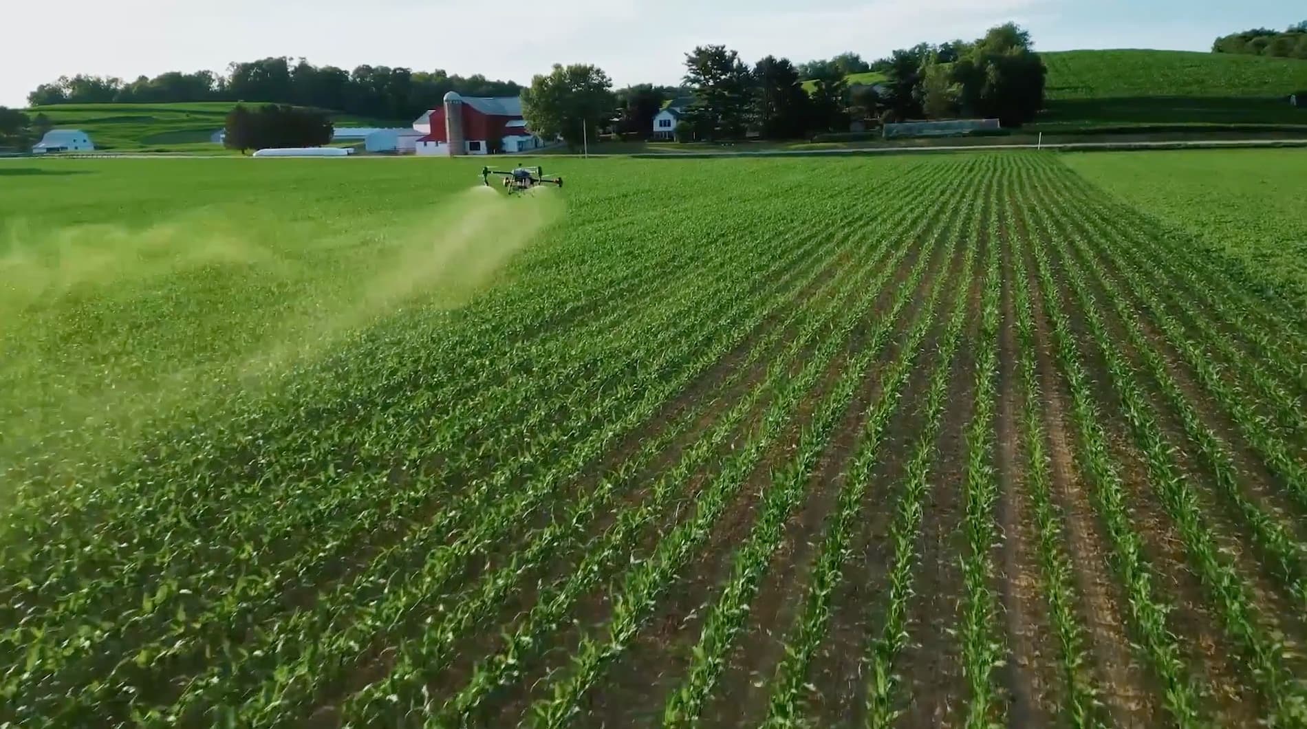 Drone Spraying After Rain in North Alabama